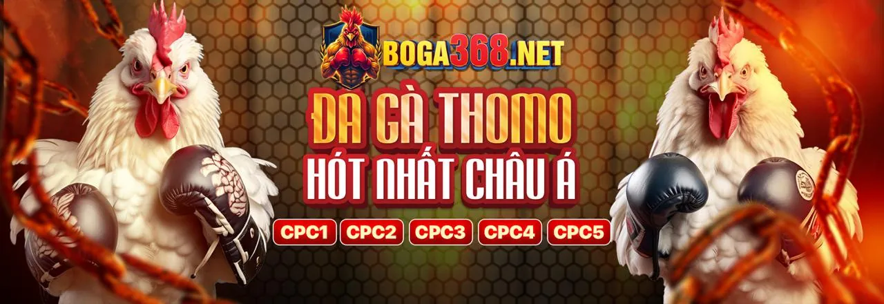 Chương Trình VIP mcw19 link mới với ưu đãi độc quyền