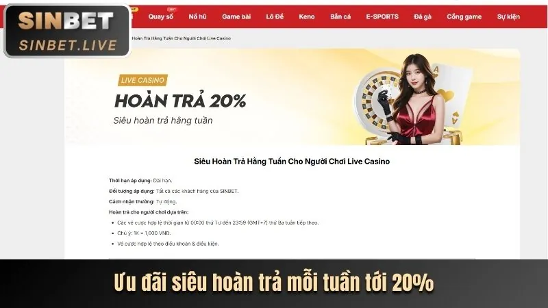 Phân tích sâu nền tảng mcw19